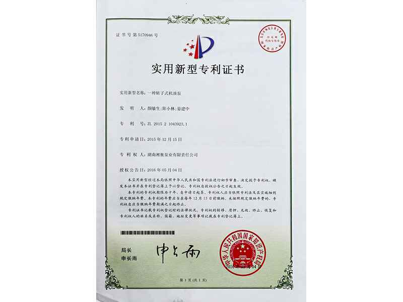 湖南重庆兰宇数据可视化服务有限公司专利